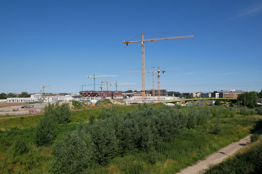 Baukräne über einem entstehenden Neubaugebiet, im Vordergrund grüne Wiesen